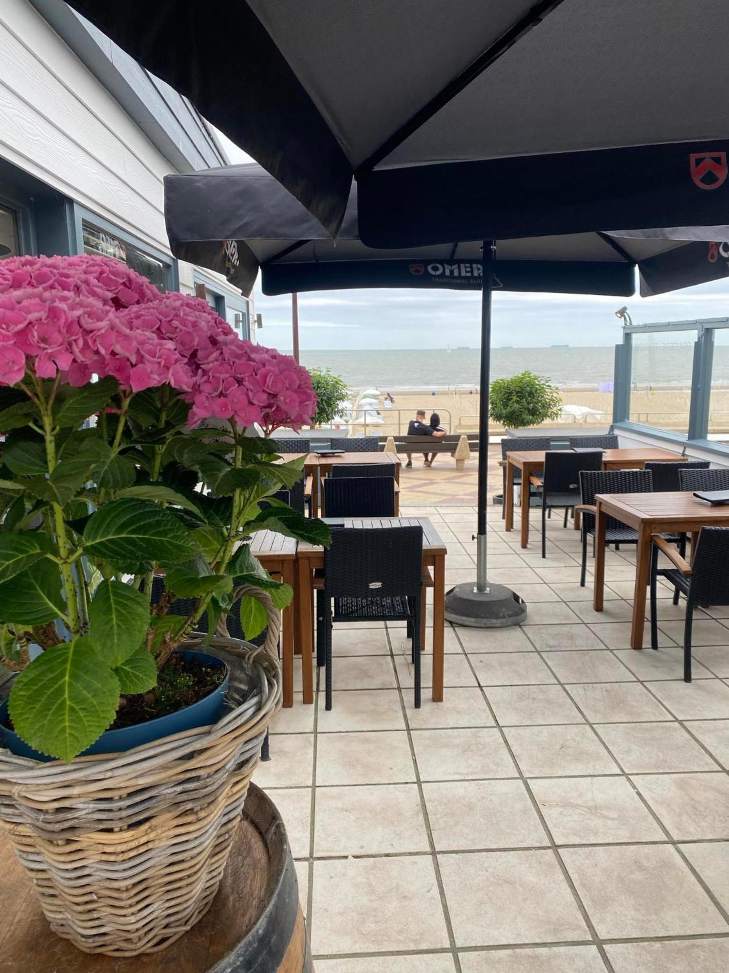 Junior Suite mit Terrasse