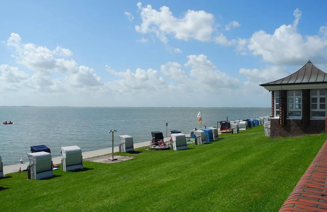 AKZENT Strandhotels Seestern, Delphin&Lachs-1