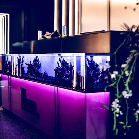 The Flamingo-2